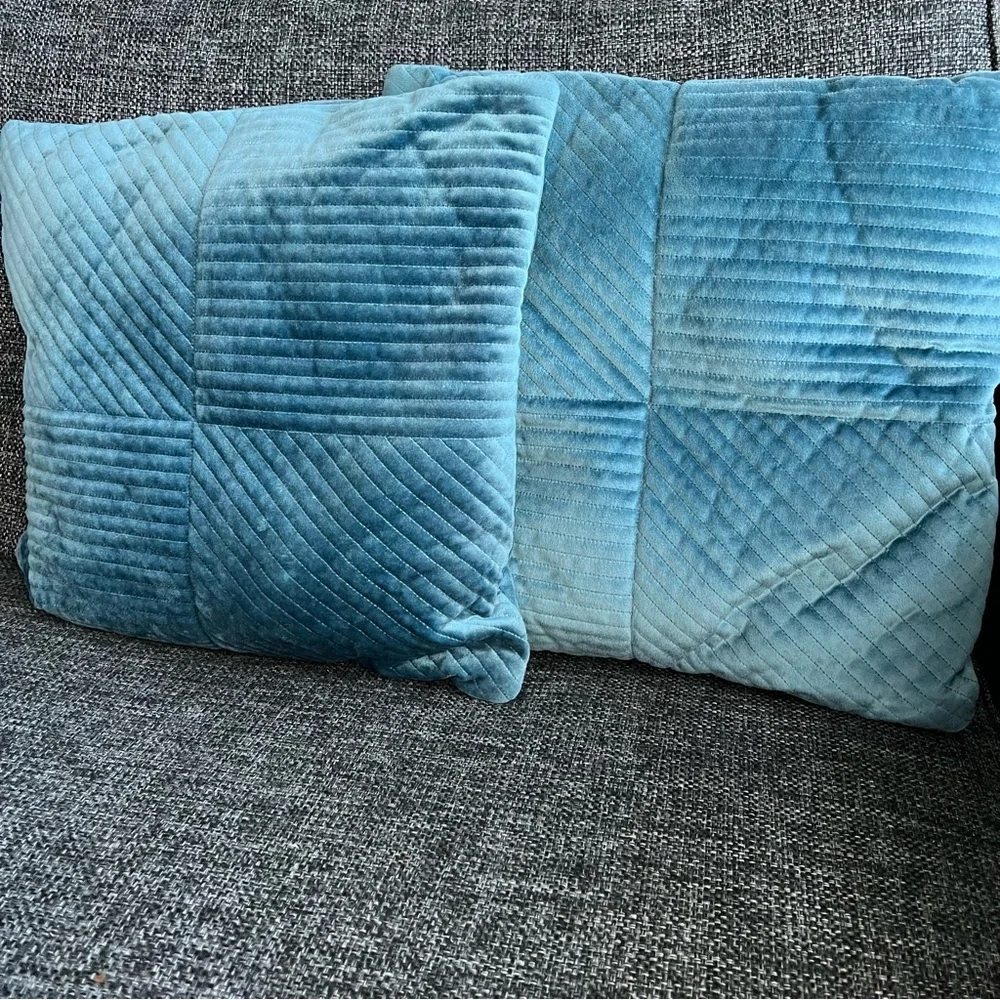 Pier 1 Imports Velvet Throw Pillows- set of 2